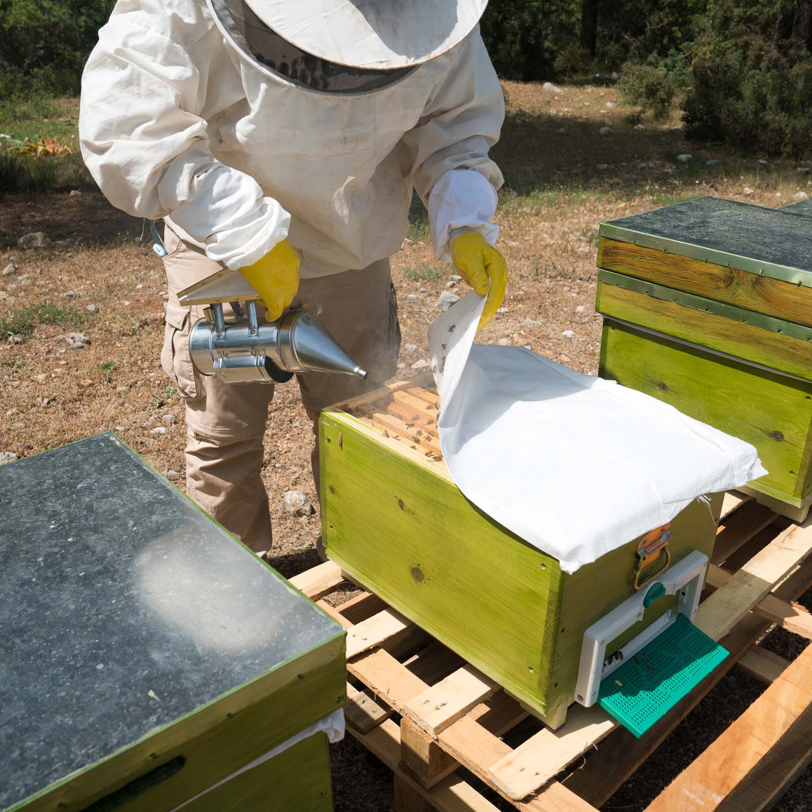 HunterBee Kit d'outils pour d'apiculture,Fumeur d'abeilles