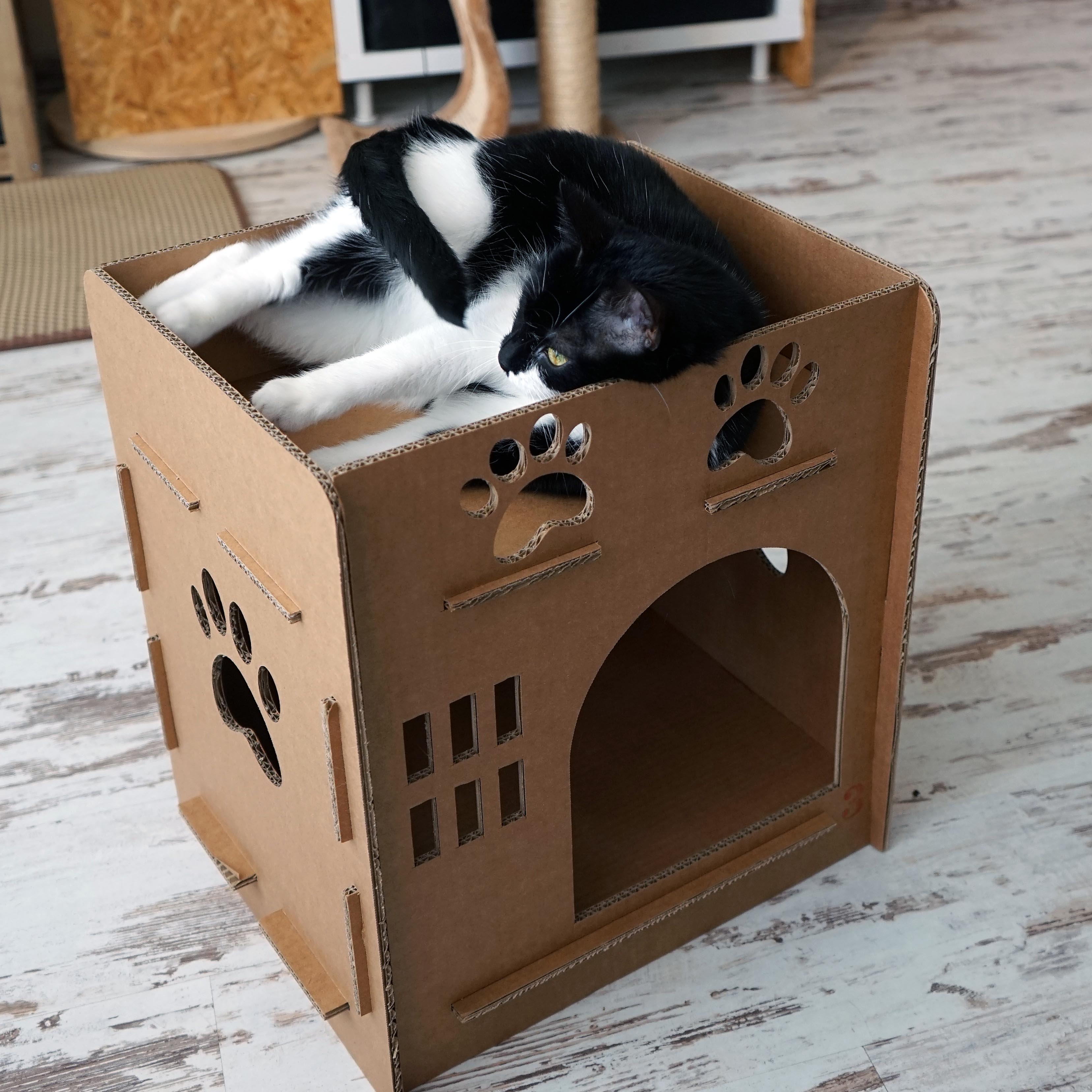 Kerel Onbevredigend schilder Kattengrot vierkant van karton - kattenhuis - kattenhut insteeksysteem |  63064